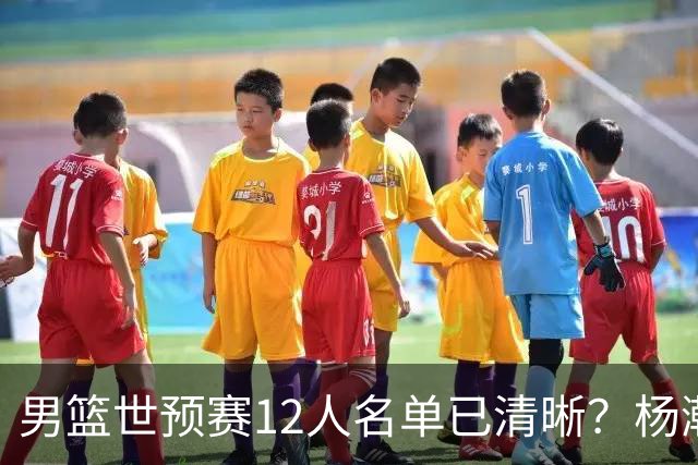 男篮世预赛12人名单已清晰？杨瀚森赵继伟领衔：周琦赵睿全被抛弃